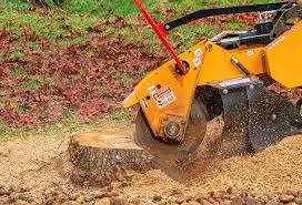 Best Tree Health Inspection  in Coos Bay, OR